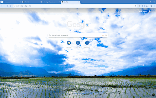 Rice Paddy Reflections  from Chrome web store to be run with OffiDocs Chromium online