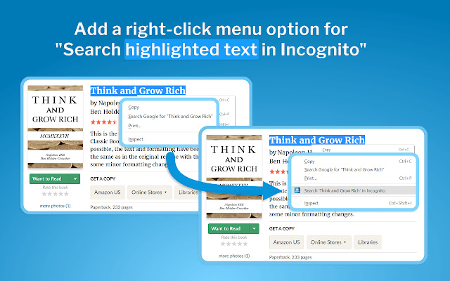 Right Click Search Incognito  from Chrome web store to be run with OffiDocs Chromium online