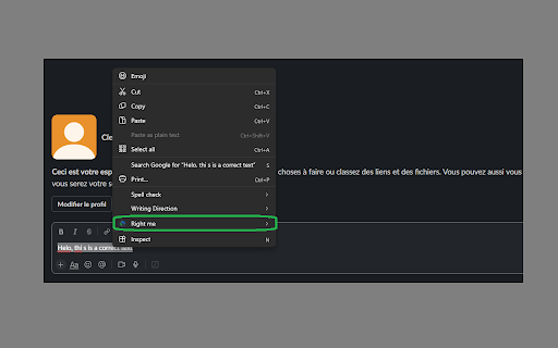 Right me  from Chrome web store to be run with OffiDocs Chromium online