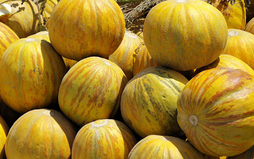 Ripe cantaloupes  from Chrome web store to be run with OffiDocs Chromium online