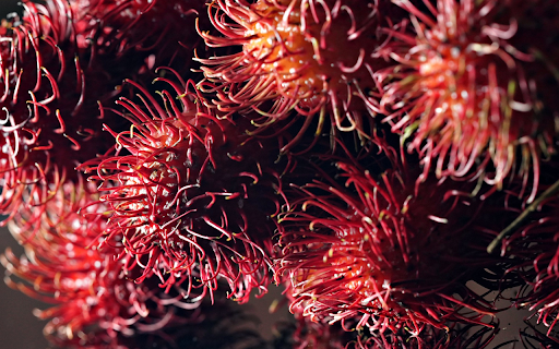 Ripe rambutan  from Chrome web store to be run with OffiDocs Chromium online