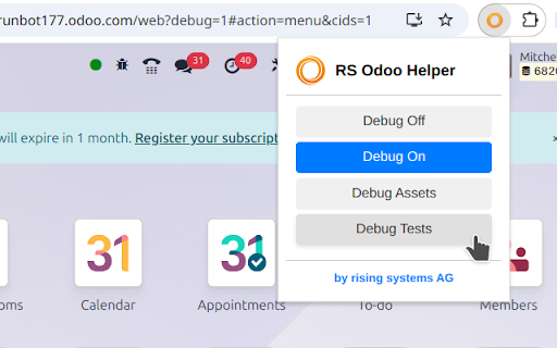 rising systems Odoo helper  from Chrome web store to be run with OffiDocs Chromium online