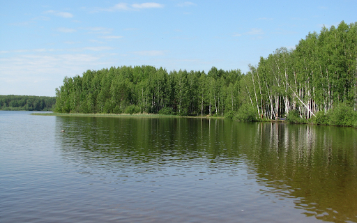 River and forest  from Chrome web store to be run with OffiDocs Chromium online