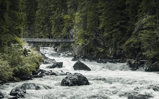 River in the Middle of Forest  from Chrome web store to be run with OffiDocs Chromium online