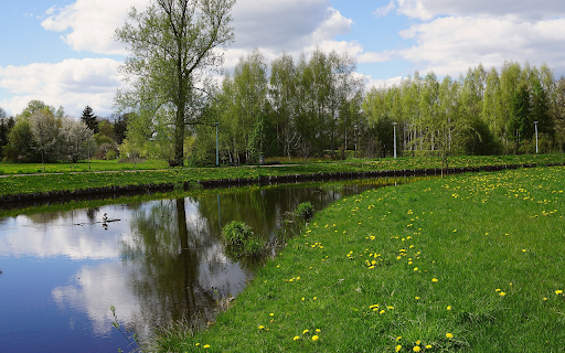 River ongrass and flower road  from Chrome web store to be run with OffiDocs Chromium online