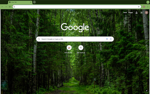road and forest  from Chrome web store to be run with OffiDocs Chromium online
