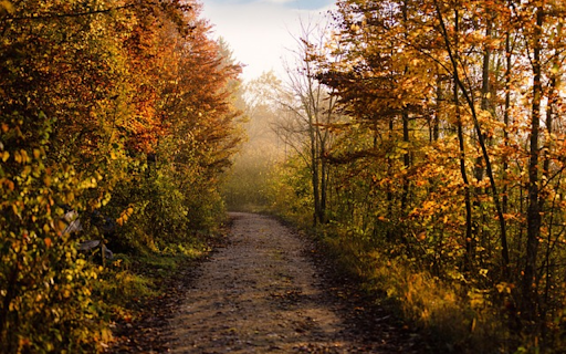 ROAD THEME  from Chrome web store to be run with OffiDocs Chromium online