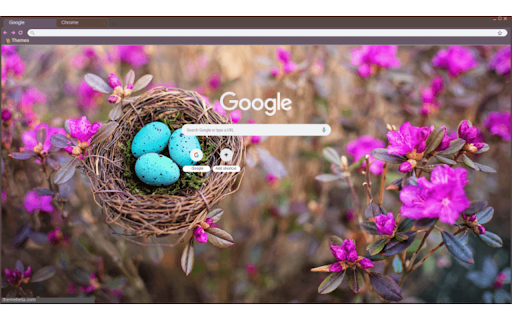 Robins Nest Spring  from Chrome web store to be run with OffiDocs Chromium online
