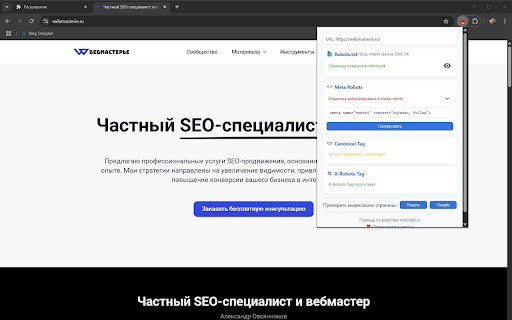 Robots Viewer  from Chrome web store to be run with OffiDocs Chromium online