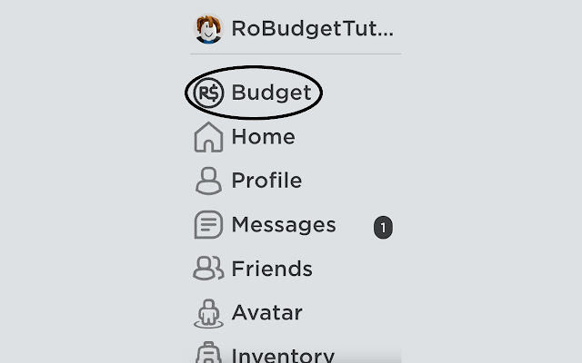 RoBudget  from Chrome web store to be run with OffiDocs Chromium online