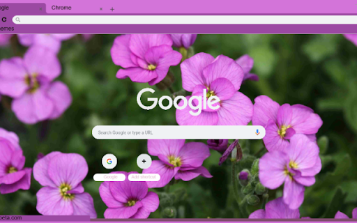 Rock Cress  from Chrome web store to be run with OffiDocs Chromium online