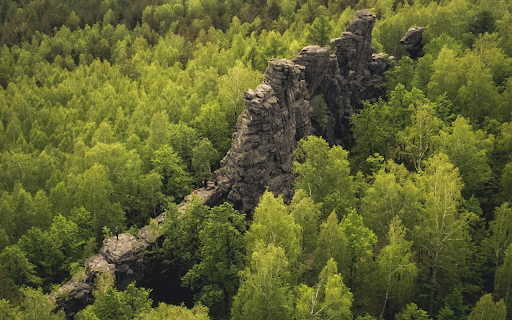 Rock Formation in the Middle of a Dense Forest  from Chrome web store to be run with OffiDocs Chromium online