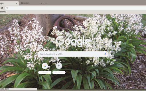 Rock Lily  from Chrome web store to be run with OffiDocs Chromium online