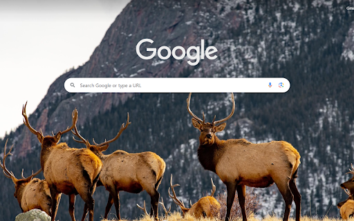 Rocky Mountain Elk Gathering  from Chrome web store to be run with OffiDocs Chromium online