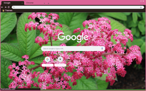 Rodgersia  from Chrome web store to be run with OffiDocs Chromium online