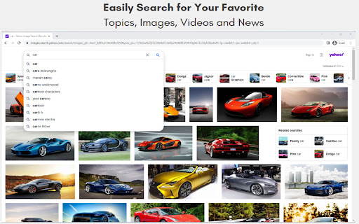 Roller Coaster Background Pictures  from Chrome web store to be run with OffiDocs Chromium online