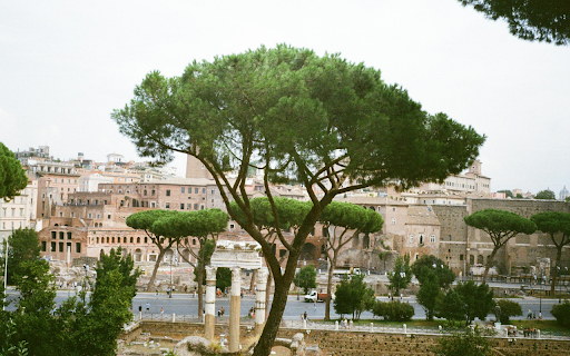 Roman Forum in Rome  from Chrome web store to be run with OffiDocs Chromium online
