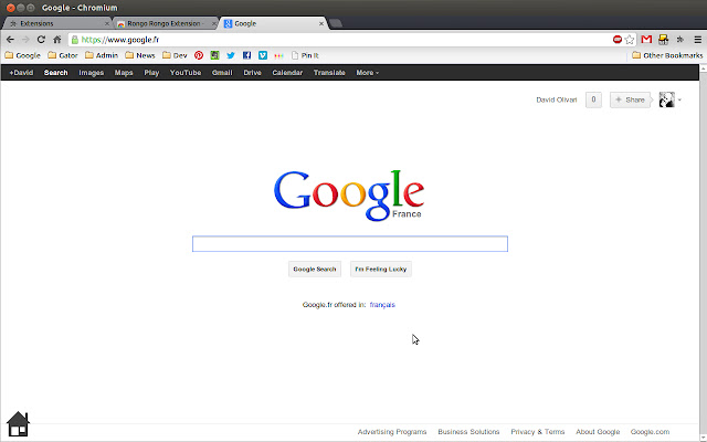 Rongo Rongo Extension  from Chrome web store to be run with OffiDocs Chromium online