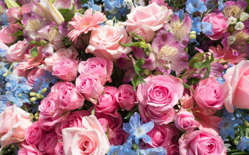 Rose Garden in the Sun: A Blooming Symphony of Colors  from Chrome web store to be run with OffiDocs Chromium online