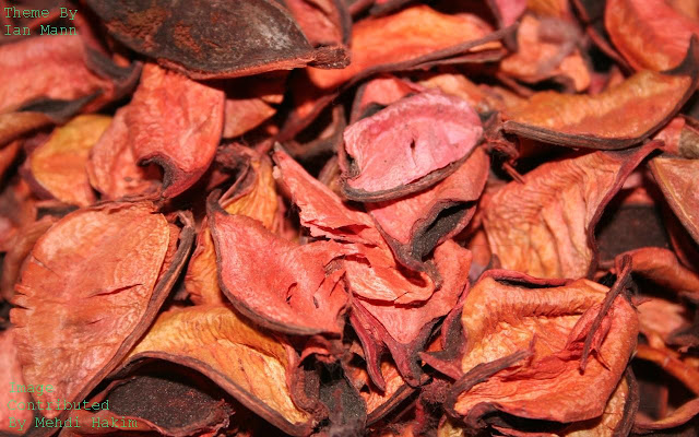 Rose Pedals  from Chrome web store to be run with OffiDocs Chromium online