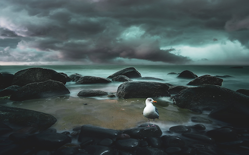 Round stone beach  from Chrome web store to be run with OffiDocs Chromium online