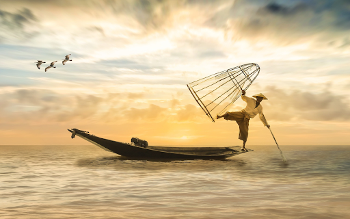 Rowing boat to catch fish  from Chrome web store to be run with OffiDocs Chromium online
