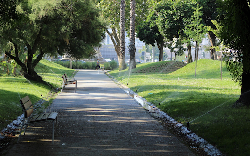 Rows of green park benches  from Chrome web store to be run with OffiDocs Chromium online