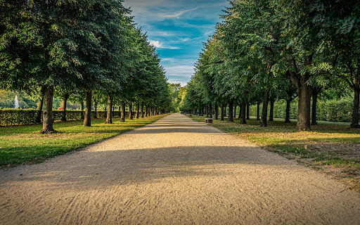 Rows of green trees  from Chrome web store to be run with OffiDocs Chromium online