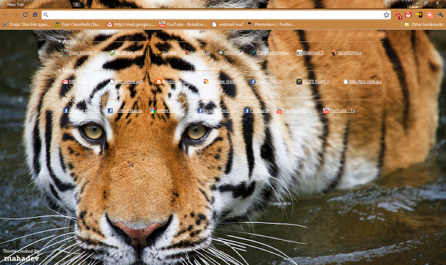 来自 Chrome 网上商店的 Royal Bengal Tiger 1440x900 将与 OffiDocs Chromium 在线运行