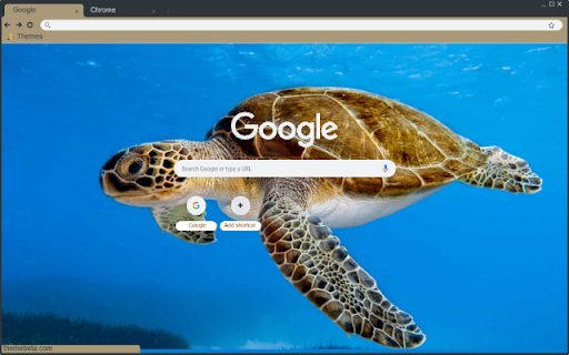 Rua  from Chrome web store to be run with OffiDocs Chromium online