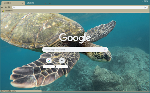 Rua Bien  from Chrome web store to be run with OffiDocs Chromium online