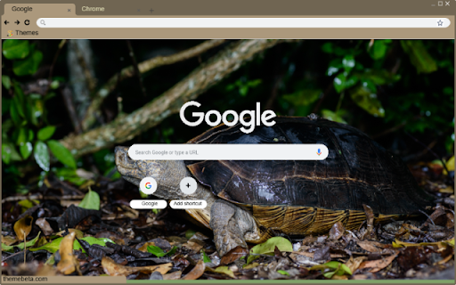 Rua dat  from Chrome web store to be run with OffiDocs Chromium online