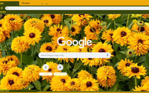 Rudbeckia  from Chrome web store to be run with OffiDocs Chromium online