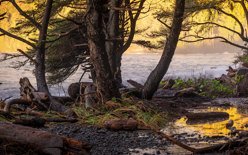 Rugged Coastline at Golden Hour  from Chrome web store to be run with OffiDocs Chromium online