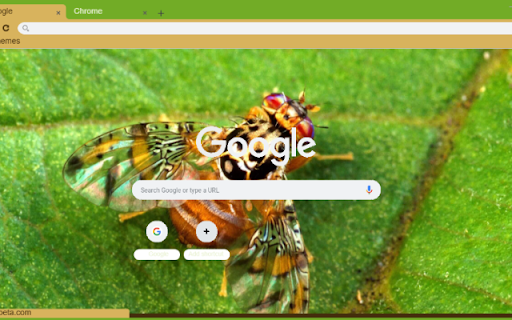 Ruoi Giam  from Chrome web store to be run with OffiDocs Chromium online
