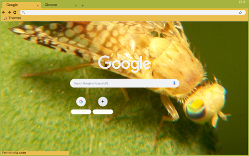 Ruoi vang  from Chrome web store to be run with OffiDocs Chromium online