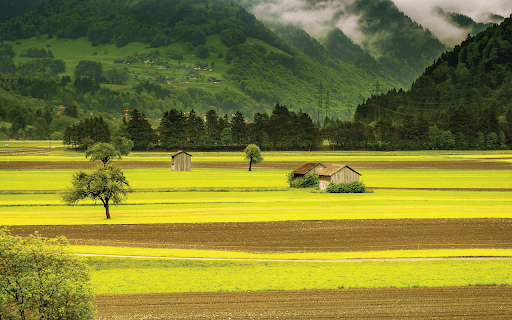 Rural Fields  from Chrome web store to be run with OffiDocs Chromium online