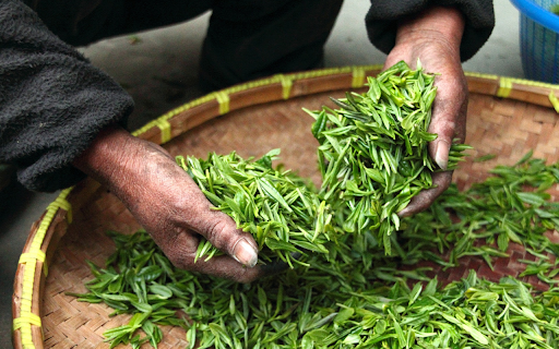 rustic tea  from Chrome web store to be run with OffiDocs Chromium online