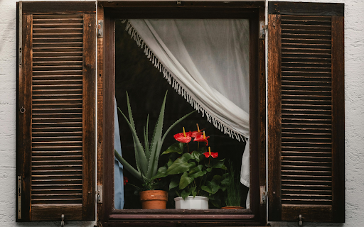 Rustic Window with Vibrant Indoor Plants  from Chrome web store to be run with OffiDocs Chromium online