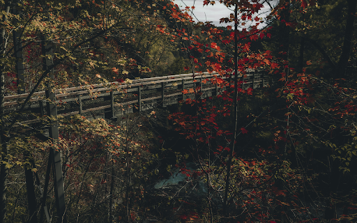 Rustic Wooden Bridge in Autumn Forest Setting  from Chrome web store to be run with OffiDocs Chromium online