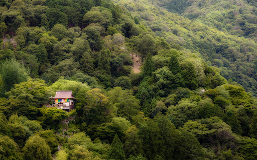 Sacred temple in deep forest  from Chrome web store to be run with OffiDocs Chromium online