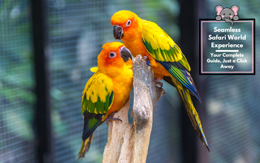 Safari World Bangkok  from Chrome web store to be run with OffiDocs Chromium online