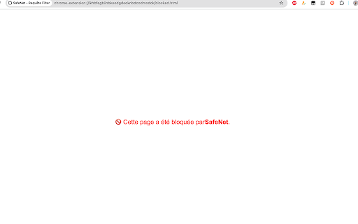 SafeNet Requête Filter  from Chrome web store to be run with OffiDocs Chromium online