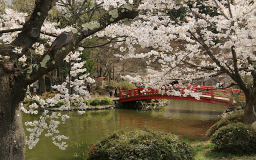 Sakura Blossoms  from Chrome web store to be run with OffiDocs Chromium online