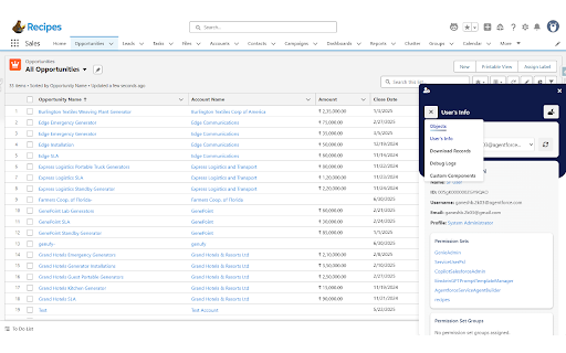 Salesforce Dev Inspector  from Chrome web store to be run with OffiDocs Chromium online