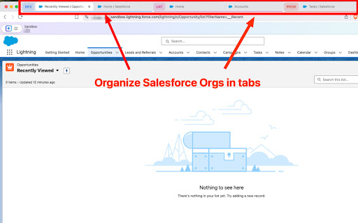 Salesforce Org Grouper  from Chrome web store to be run with OffiDocs Chromium online