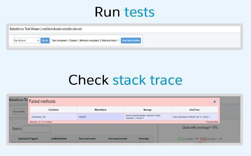 Salesforce Test Viewer  from Chrome web store to be run with OffiDocs Chromium online