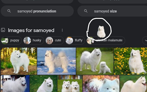 Samoyed Surprise  from Chrome web store to be run with OffiDocs Chromium online