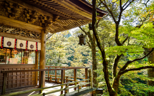 Sanctuary of Wood and Whispering Leaves  from Chrome web store to be run with OffiDocs Chromium online