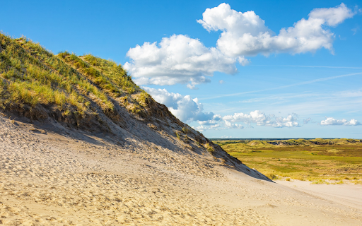 Sand dunes and grass  from Chrome web store to be run with OffiDocs Chromium online